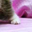 Іванка Зубенко фотография #34 (источник - https://vk.com/id100080283)