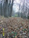 Антон Долінський фотография #45 (источник - https://vk.com/id11724603)