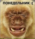 Фотография Катюша Должекова