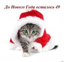 Діана Береза фотография #14 (источник - https://vk.com/id162546834)