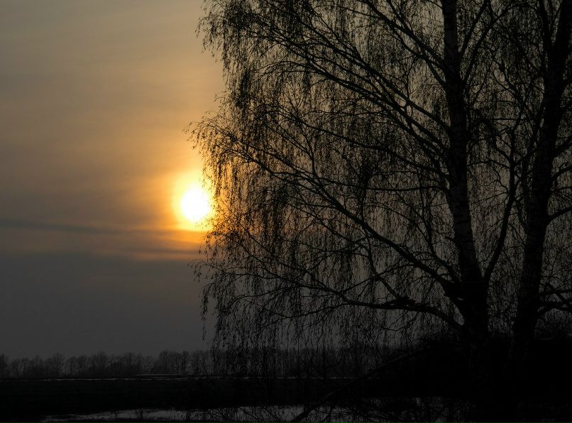 Дмитрий Клочков фотография #19