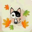 Фотография Иванова Александра