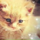 Фотография Гарифуллиной Эльмиры