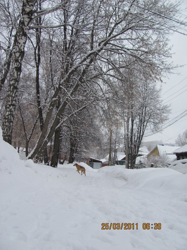 Ольга С фотография #7