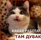 Валік Зінчук фотография #37 (источник - https://vk.com/id94820243)