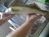 Рустем Лутфуллин фотография #22 (источник - https://vk.com/id8515565)