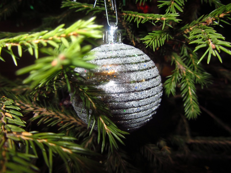 Лена Башкирова фотография #45