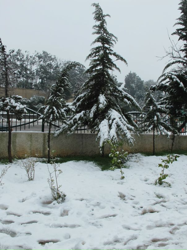 Иван Иванов фотография #32