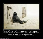 Андрей Чеснюк фотография #29 (источник - https://vk.com/id9616680)