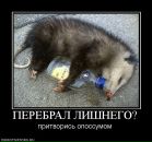 Андрей Чеснюк фотография #35 (источник - https://vk.com/id9616680)