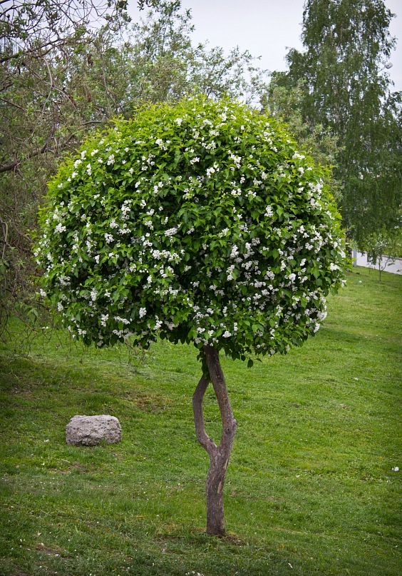 Сергей Духно фотография #15