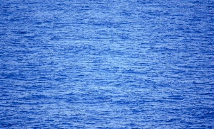 Андрей Пролеев фотография #27