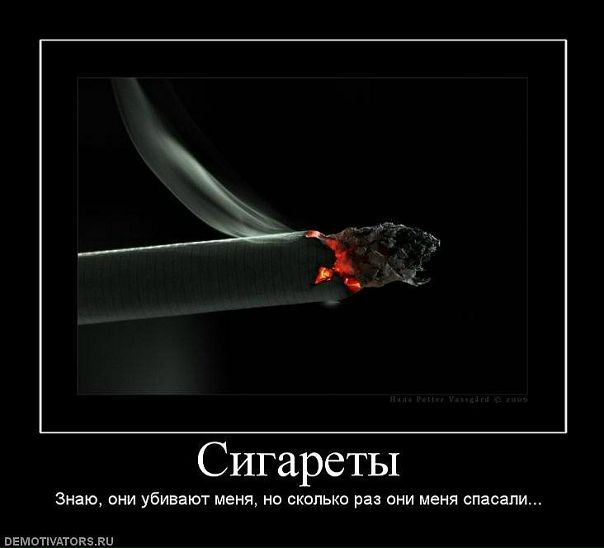 Александр Пенчук фото №47