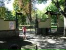 Вероніка Краковецька фотография #28 (источник - https://vk.com/id87034958)