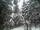 Рома Фамін фотография #26 (источник - https://vk.com/id55941362)