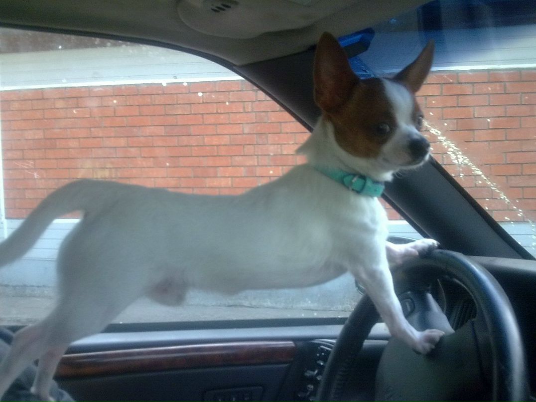 Дмитрий Кожевников фотография #14