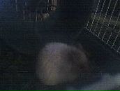 Вікуся Долгій фотография #28 (источник - https://vk.com/id95943364)