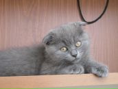 Фотография Веселовой Марины