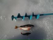 Иван Брауэр фотография #13 (источник - https://vk.com/id90290224)