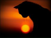 Фотография Степановой Людмилы