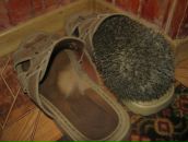 Свєтік Бат фотография #21 (источник - https://vk.com/id88536198)