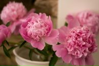 Фотография Вариводы Юлии