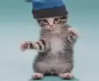 танци котов)
