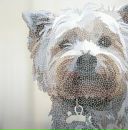 Фотография Варакиной Ксюши