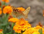 Фотография Усольцевой Ольги