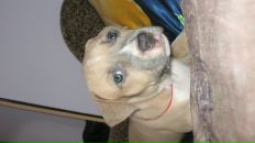 Серий Челядін фотография #35 (источник - https://vk.com/id7693308)