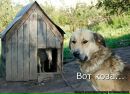 Фотография Синцовой Елены