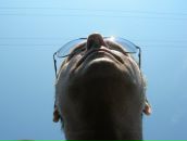 Фотография Холоденко Жоры