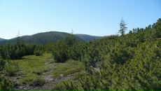 Дмитрий Тарасенко фотография #19 (источник - https://vk.com/id276015)