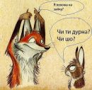 Назар Чайківський фотография #5 (источник - https://vk.com/id166001157)