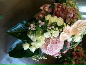 Леся Силенко фотография #9 (источник - https://vk.com/id3301581)