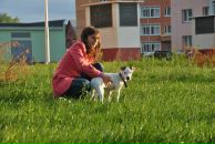 Фотография Вершута Кирилл