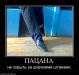  фотография #30