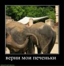 Доза Адреналина=))) фотография #19 (источник - https://vk.com/id79150058)