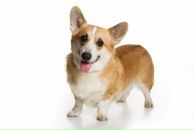 Фотография Lopez Pepe