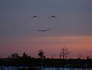 Murat Ugur фотография #1