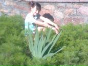 Віка Бажан фотография #20 (источник - https://vk.com/id84872253)