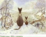 Фотография Кочергиной Натальи