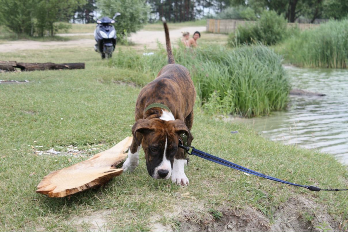 Кирилл Митяев фотография #23