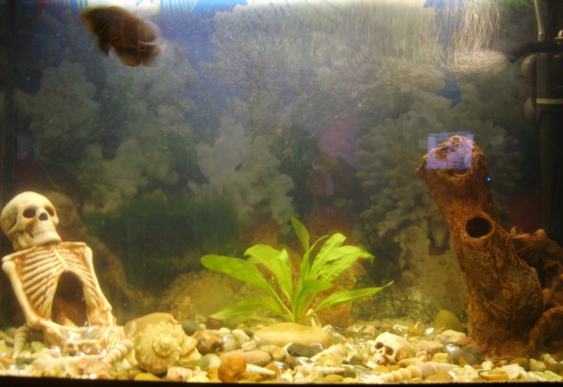 Дмитрий Ковалёв фотография #24