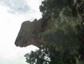 Наталія Маркова фотография #28 (источник - https://vk.com/id63258267)