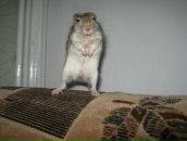 Фотография Скоморощенко Александры