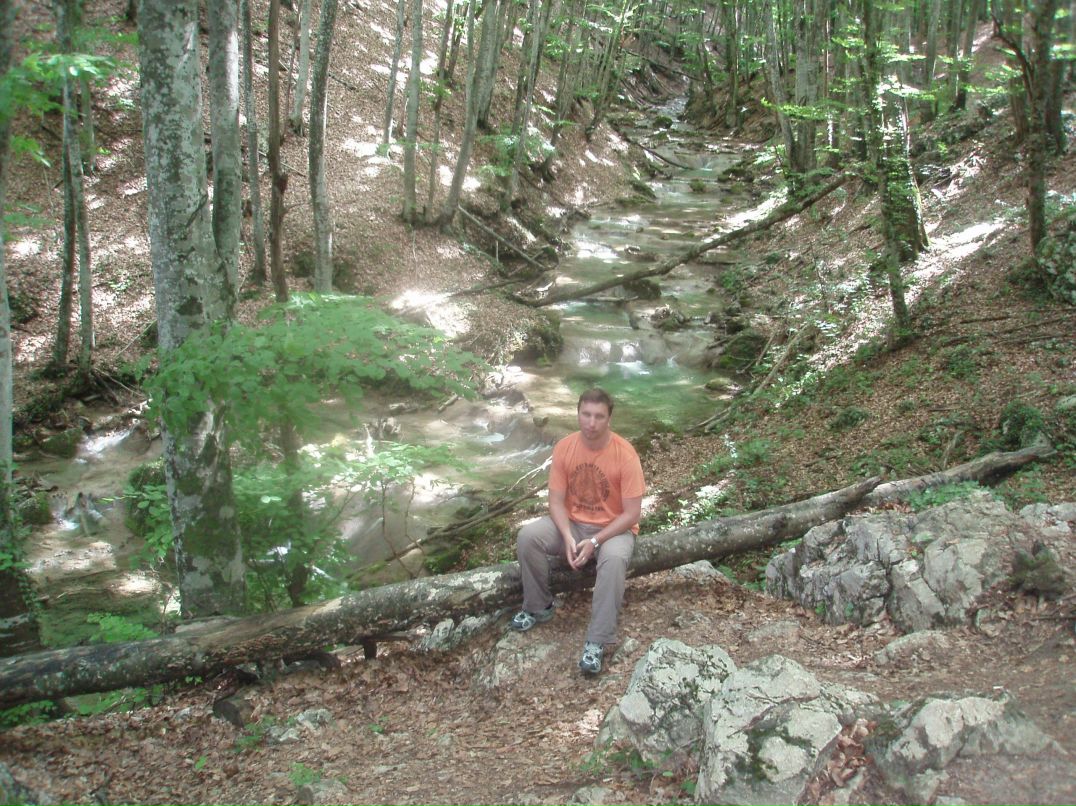 Сергей Гречко фотография #7