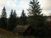 Андрій Романович фотография #35 (источник - https://vk.com/id12409296)