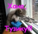 Міша Греба фотография #1
