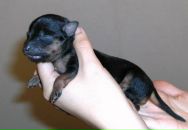 Фотография Барташевич Анны